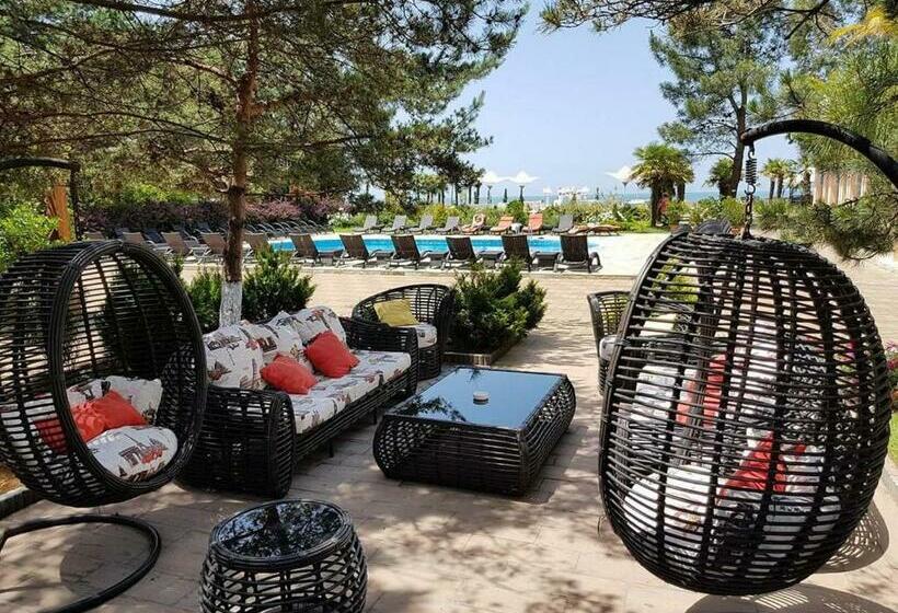 استودیوی استاندارد, Dreamland Oasis 7 Chakvi