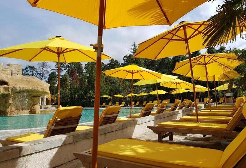 استودیوی استاندارد, Dreamland Oasis 7 Chakvi