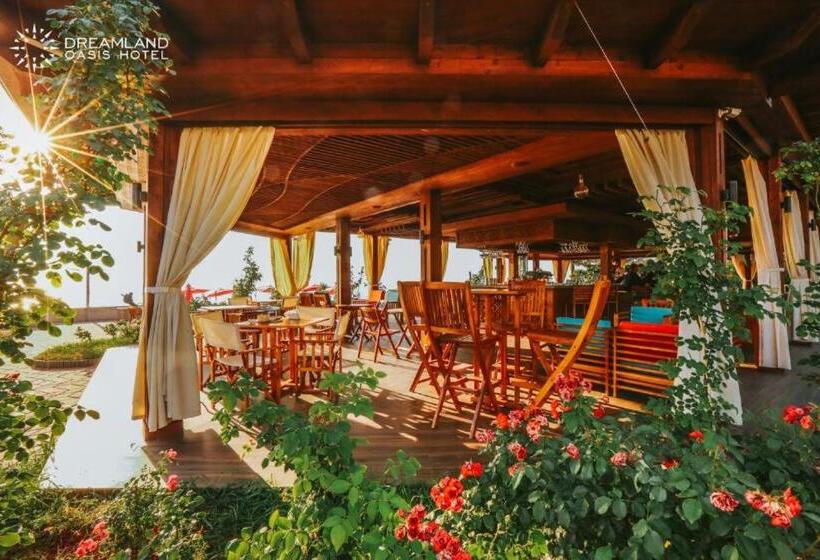استودیوی استاندارد, Dreamland Oasis 7 Chakvi