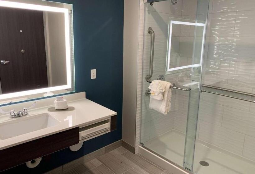 Стандартный Номер Кровать Кинг, La Quinta Inn & Suites By Wyndham Holbrook Petrified Forest