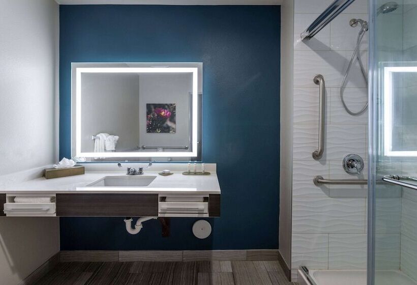 Люкс Адаптированный для Инвалидов, La Quinta Inn & Suites By Wyndham Holbrook Petrified Forest