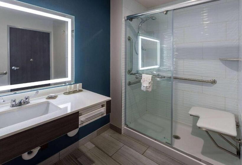 Номер Стандарт Адаптированный для Инвалидов, La Quinta Inn & Suites By Wyndham Holbrook Petrified Forest