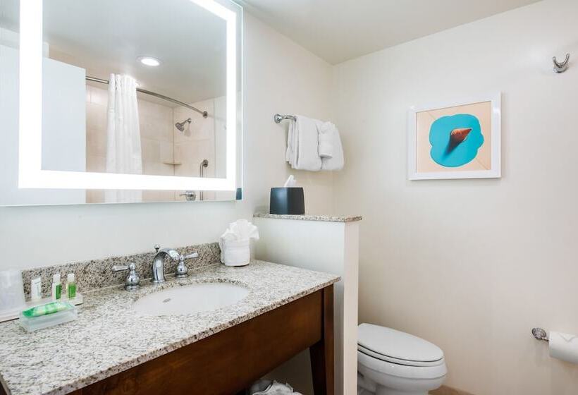 اتاق استاندارد با تخت دوبل, Holiday Inn Orlando – Disney Springs™ Area, An Ihg