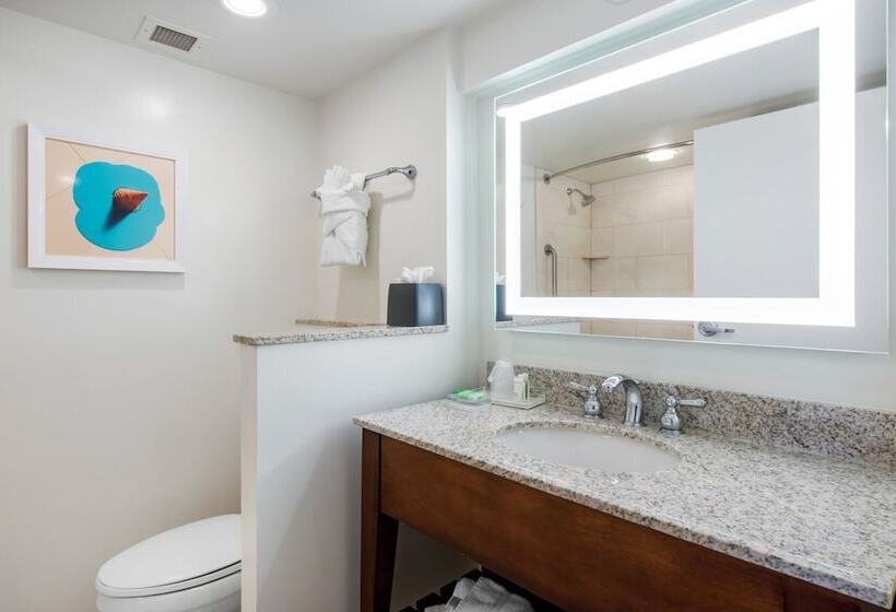 اتاق استاندارد با تخت دوبل, Holiday Inn Orlando – Disney Springs™ Area, An Ihg