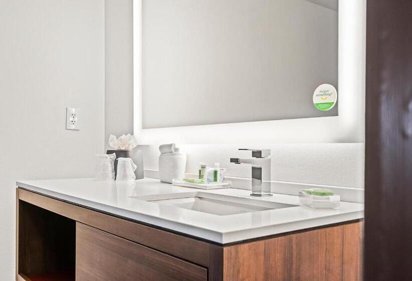 Номер Стандарт, Holiday Inn   St. Petersburg West, An Ihg