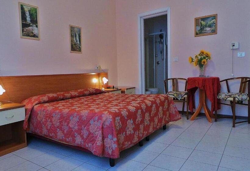 Номер Стандарт, Roma