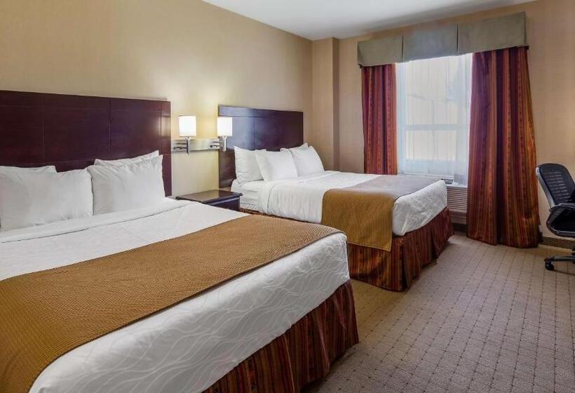 スタンダードルーム, Best Western Plus Bowmanville