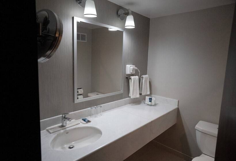 ダブルベッドのクラシックルーム, Four Points By Sheraton Saltillo