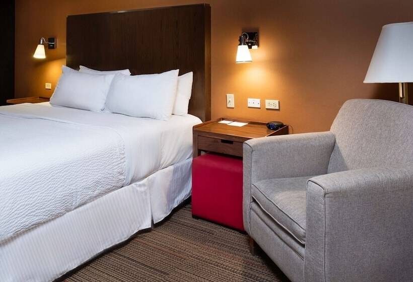 デラックスルーム, Four Points By Sheraton Saltillo