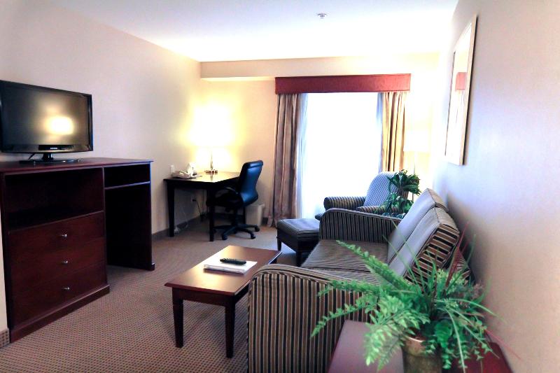スタンダードルーム, Holiday Inn Express And Suites Surrey, An Ihg