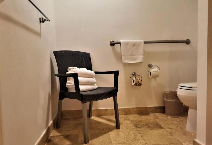 اتاق استاندارد با تخت بزرگ برای معلولان, Holiday Inn Monterrey Valle, An Ihg