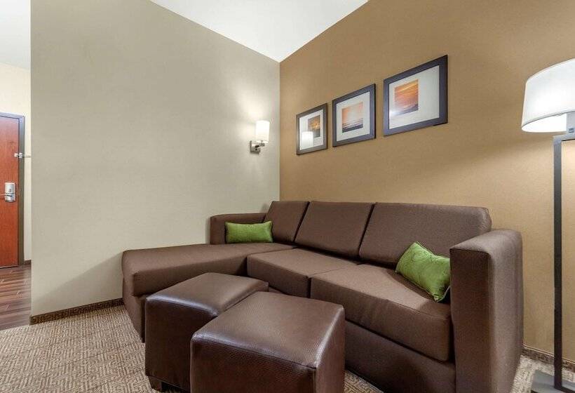 Номер Стандарт Адаптированный для Инвалидов, Comfort Suites
