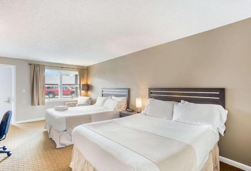 带2个双人床的标准工作室, Rodeway Inn