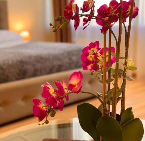 اتاق استاندارد, Spa&hotel Mūsa Paradise
