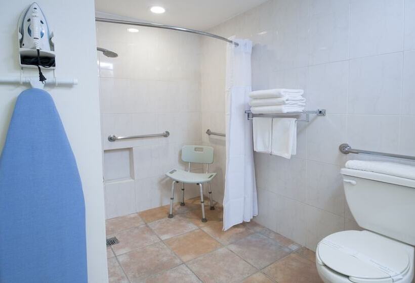 اتاق استاندارد با تخت دوبل, Holiday Inn Ciudad Del Carmen, An Ihg