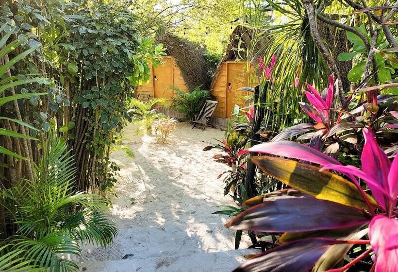 Standard Tent, Selina Tulum