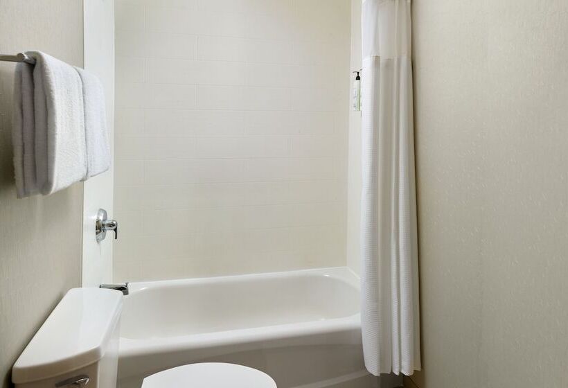 Номер Стандарт 2 Двуспальные Кровати, Springhill Suites Charlotte University Research Park