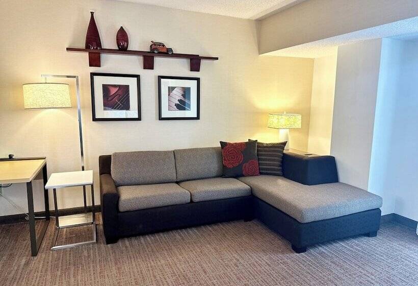 ２ベッドスイートルーム, Residence Inn Minneapolis Downtown/city Center