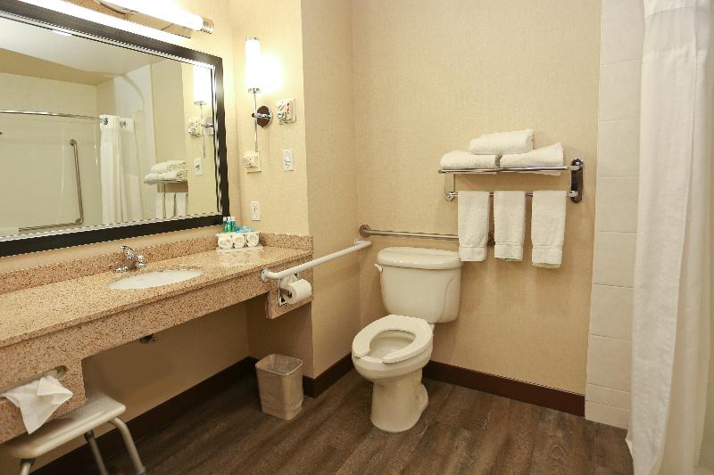 Номер Стандарт Кровать Кинг Адаптированный для Инвалидов, Holiday Inn Express Hotel & Suites Vernon, An Ihg