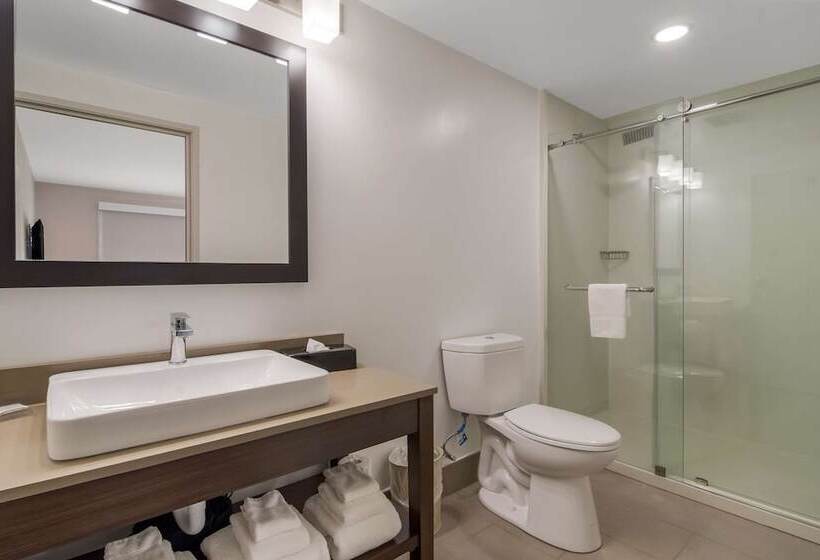 Люкс, Country Inn & Suites By Radisson, Goldsboro, Nc