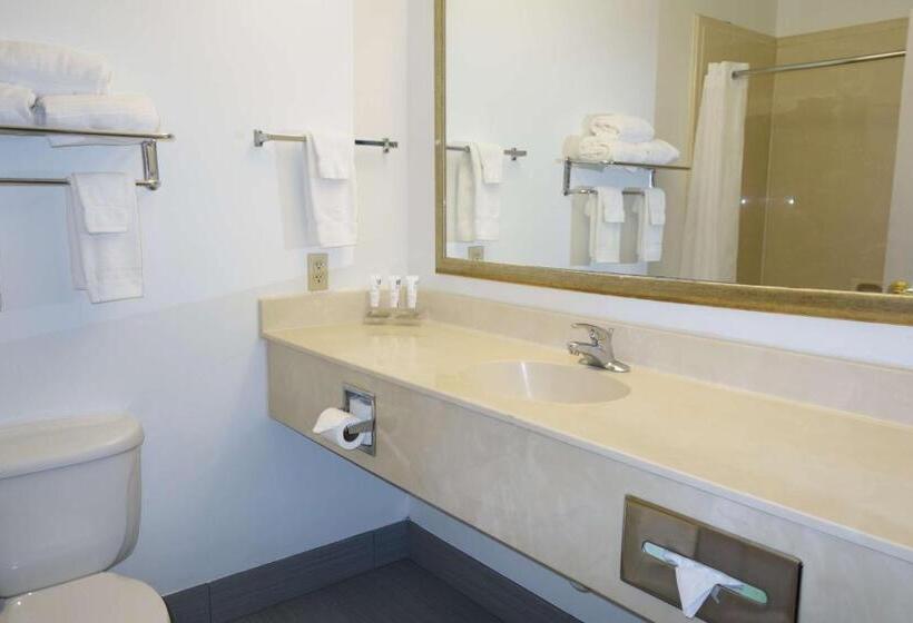 Люкс Кровать Кинг, Country Inn & Suites By Radisson, Round Rock, Tx