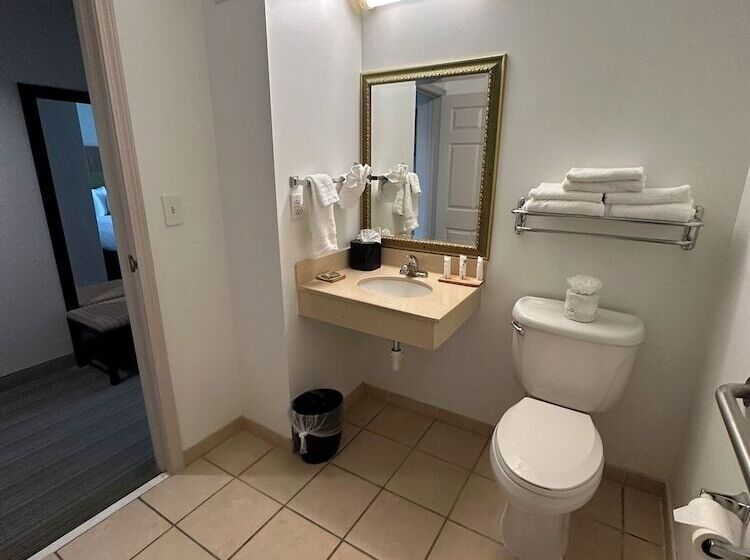 장애인을 위한 스위트, Summerville Park Inn