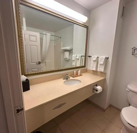 스탠다드 룸 킹사이즈 침대, Summerville Park Inn