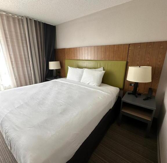 스위트 킹사이즈 침대, Summerville Park Inn