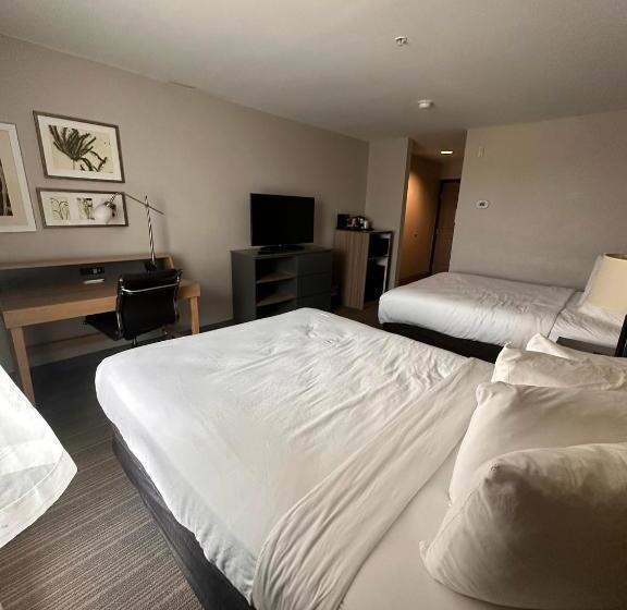 스위트, Summerville Park Inn