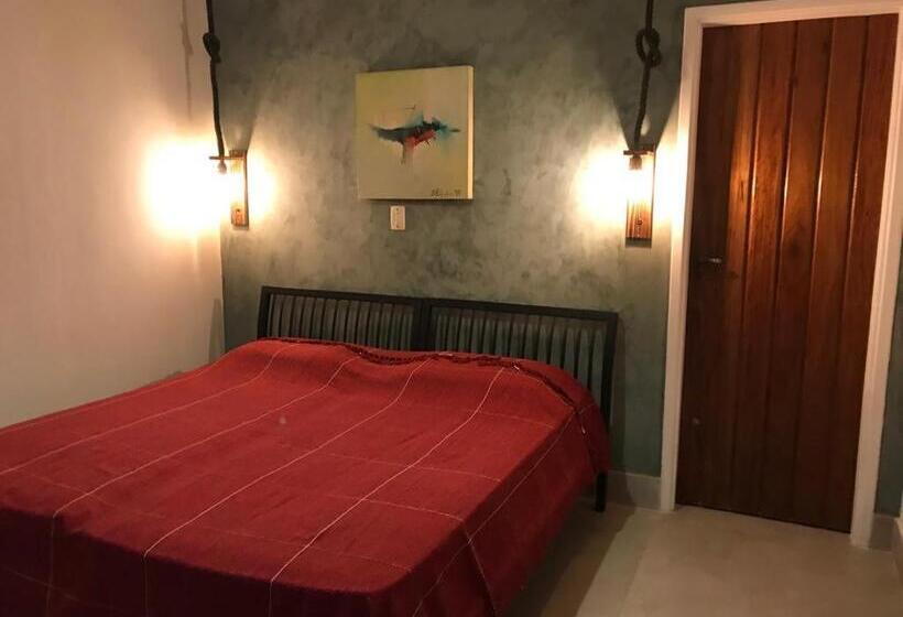 اتاق ساده سه‌ نفره, Suites Terrasol