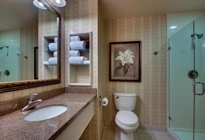 스탠다드 룸 퀸사이즈 침대, The Inn At Charles Town / Hollywood Casino