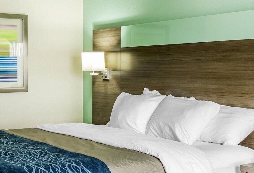 Номер Стандарт, Comfort Inn Dunn Near I95
