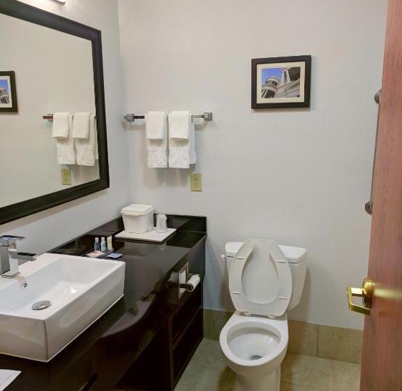 Номер Стандарт 2 Двуспальные Кровати, Comfort Inn & Suites Statesboro  University Area