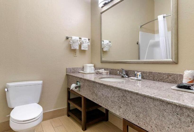 Номер Стандарт 2 Двуспальные Кровати, Comfort Inn & Suites Statesboro  University Area