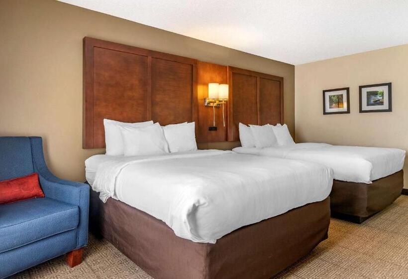 Номер Стандарт Адаптированный для Инвалидов, Comfort Inn & Suites Statesboro  University Area