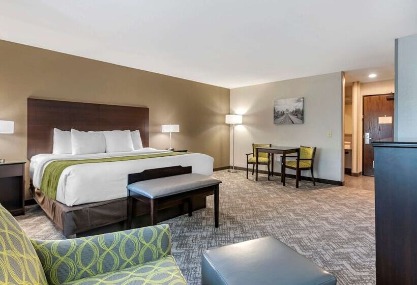 Люкс Адаптированный для Инвалидов, Comfort Inn & Suites Tualatin  Lake Oswego South