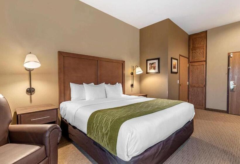 Стандартный Номер Кровать Кинг, Comfort Inn Warrensburg Station