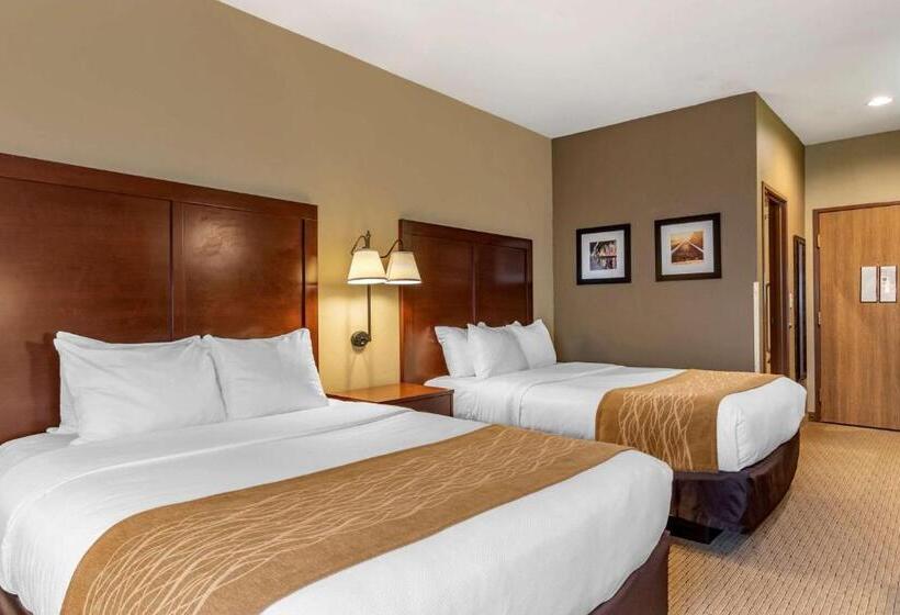Номер Стандарт, Comfort Inn Warrensburg Station