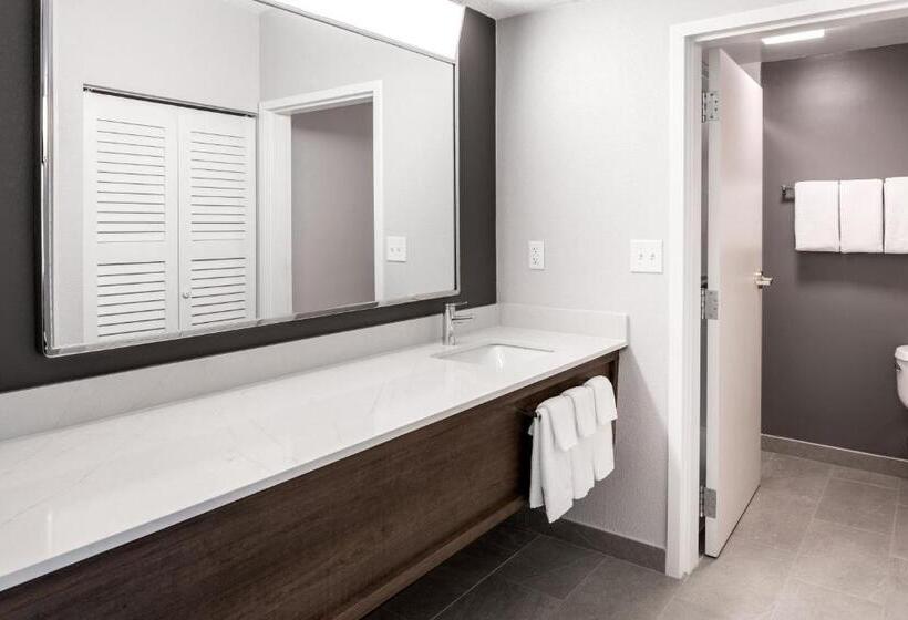 سوئیت با تخت بزرگ, Courtyard By Marriott Charlotte Ballantyne