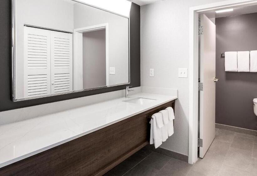 سوئیت با تخت بزرگ, Courtyard By Marriott Charlotte Ballantyne
