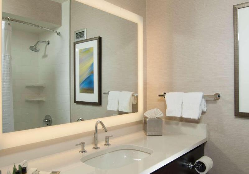 이그제큐티브 스위트 킹침대, Hilton Albany