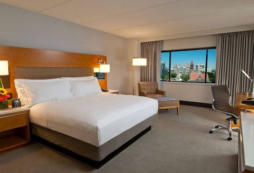 스탠다드 룸 킹사이즈 침대, Hilton Albany