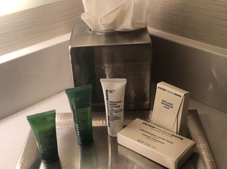 이그제큐티브 룸 킹사이즈 침대, Hilton Albany