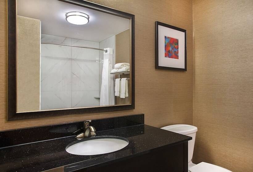 스탠다드 룸, Holiday Inn Express Berea, An Ihg