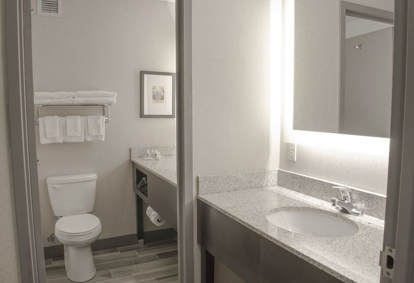 스탠다드 룸 더블 침대 2개, Holiday Inn Fargo, An Ihg