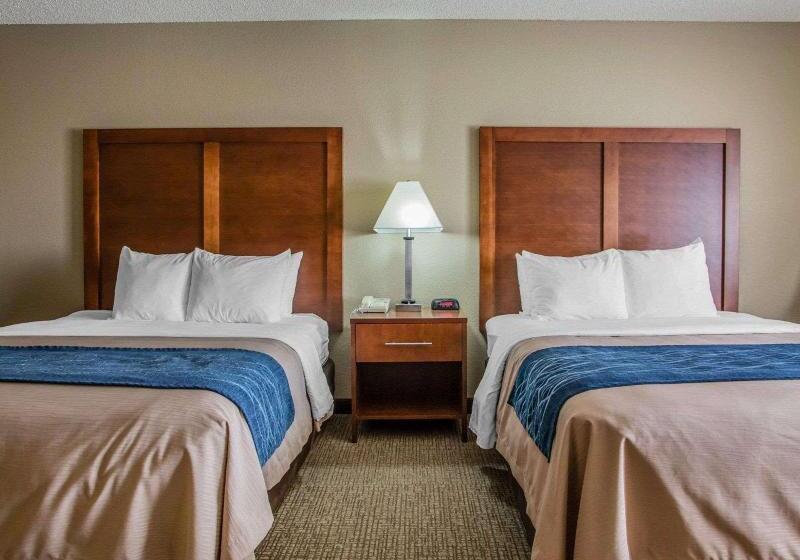 Suíte 2 Dormitórios, Homewood Suites By Hilton Dallas Dfw Airport N Grapevine