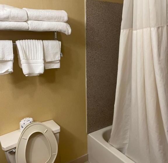 스탠다드 룸, Quality Inn Vineland
