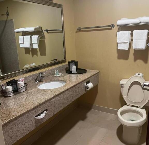 장애인을 위한 킹사이즈 침대 스탠다드 룸, Quality Inn Vineland