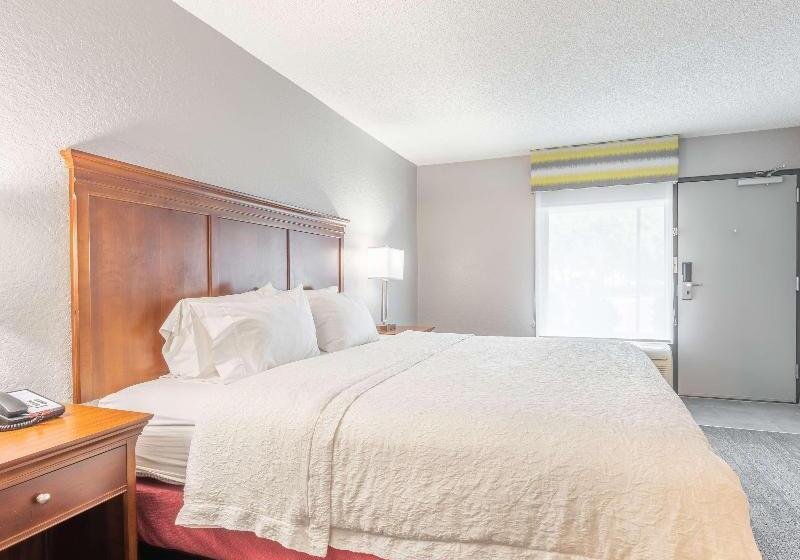 חדר סטנדרט עם מיטת קינג, Hampton Inn Gainesville