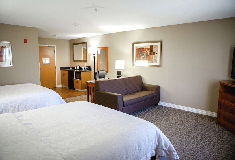Номер Стандарт, Hampton Inn Mitchell